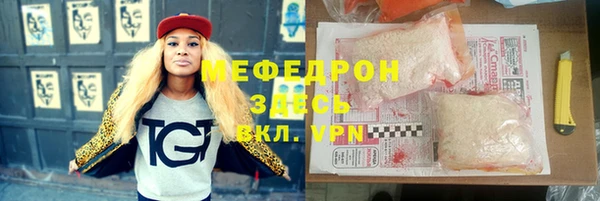 индика Богданович