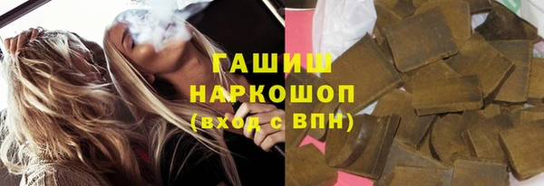 индика Богданович