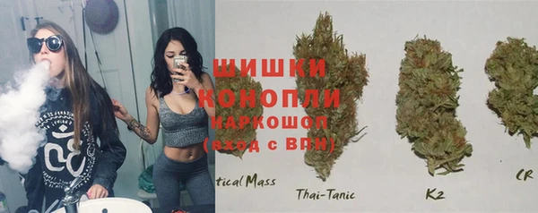 индика Богданович