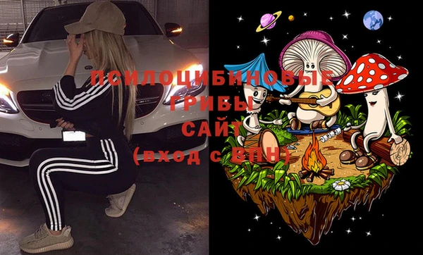 ECSTASY Богородицк