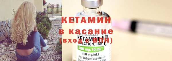 индика Богданович
