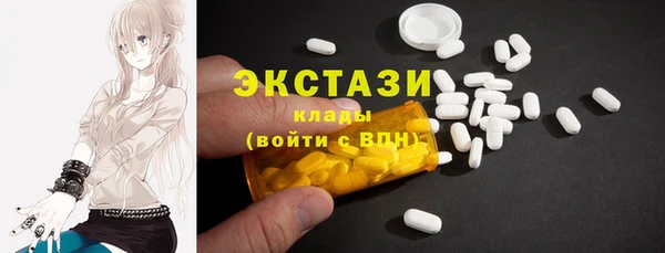 индика Богданович