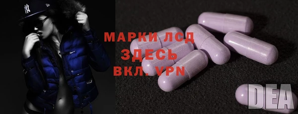 индика Богданович