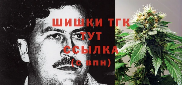 индика Богданович
