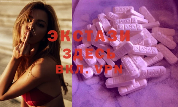 ECSTASY Богородицк