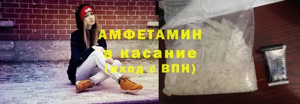 индика Богданович